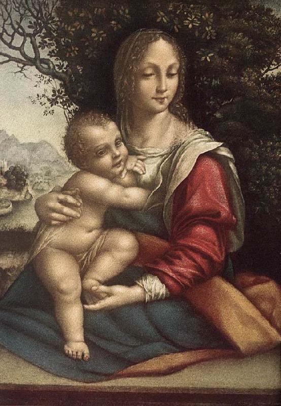 Cesare da Sesto Madonna and Child Germany oil painting art